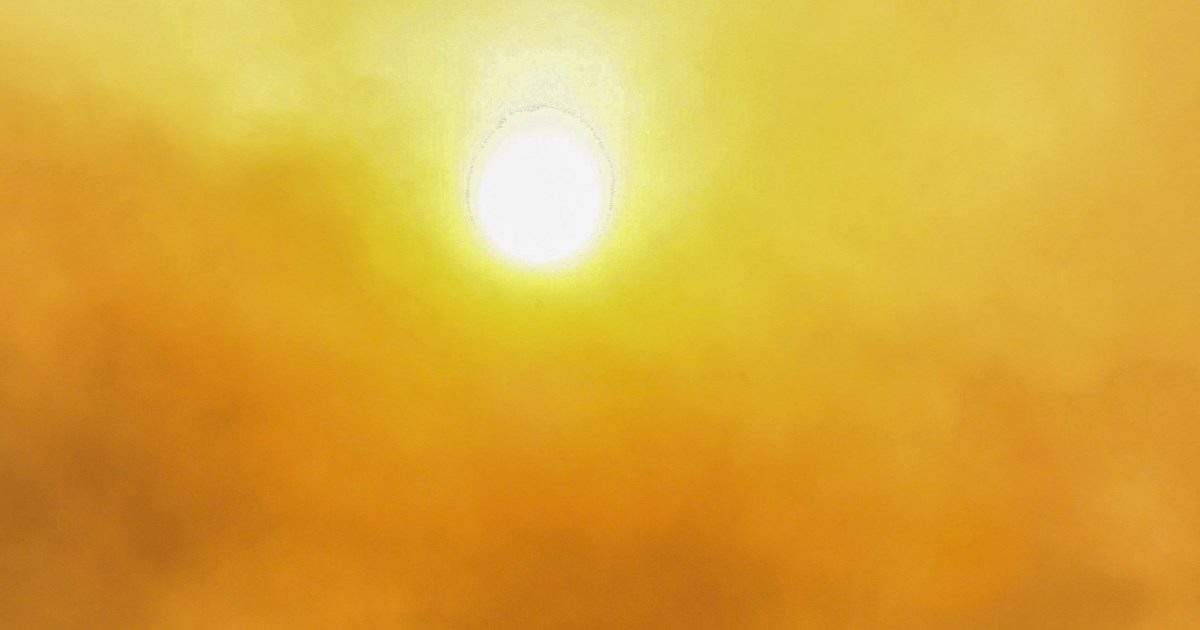 Φωτιά τώρα στη Μεσσηνία: Ισχυρές επίγειες δυνάμεις - Σηκώθηκαν και εναέρια μέσα