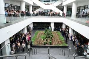 Σαφάρι της ΑΑΔΕ: Στόχος για 72.800 ελέγχους το 2026 – Ψάχνουν σε εισόδημα, ΦΠΑ και ακίνητα την τελευταία τριετία