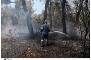 Ποινική δίωξη για δύο κακουργήματα στον 33χρονο Τούρκο που βρίσκεται πίσω από τις φωτιές στο όρος Αιγάλεω