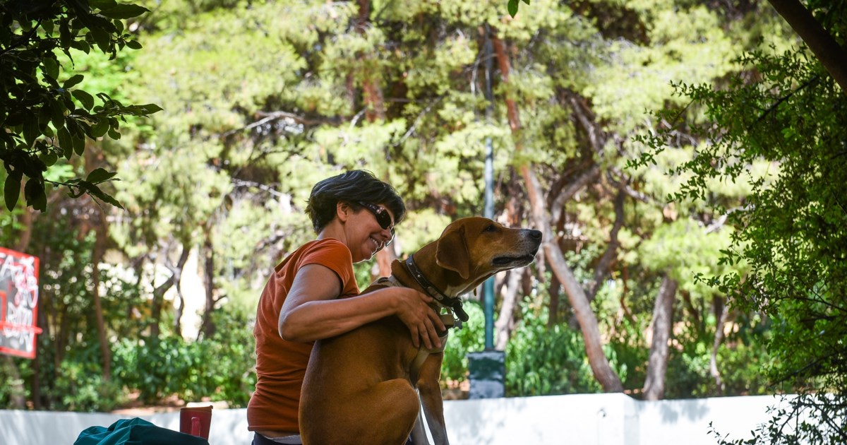 Φωτιά στη Σπάρτη: Ρίψεις από αεροσκάφη και ελικόπτερα