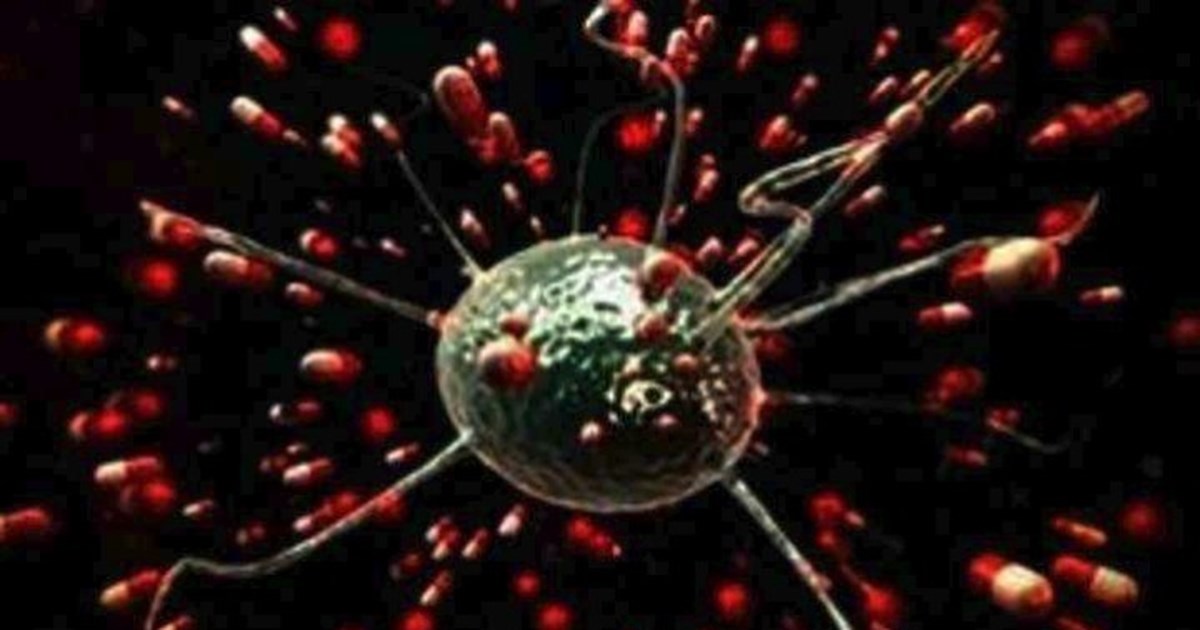 Μανία με την πρωτεΐνη: Πότε η υπερκατανάλωση μπορεί να μας κάνει κακό τελικά