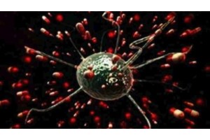 Μανία με την πρωτεΐνη: Πότε η υπερκατανάλωση μπορεί να μας κάνει κακό τελικά