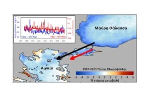 Μαύρη Θάλασσα: Ποιο είναι το ελληνικό πλοίο που δέχθηκε επίθεση με πύραυλο - Η ανακοίνωση της εταιρίας - εικόνα 3