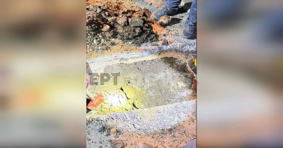 Τσουκαλάς: Βιάστηκε ο κ. Μαρινάκης να βγάλει αθωωτικό πόρισμα για τη "Βιολάντα" - εικόνα 2