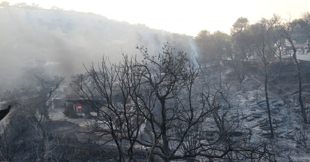 Οδηγίες της Περιφέρειας Αττικής προς τους πολίτες για τη διασφάλιση της δημόσιας υγείας μετά την πυρκαγιά