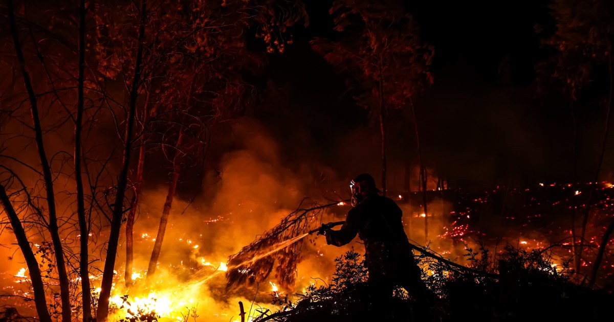 Κοζάνη: Αναζωπυρώθηκε λόγω των ανέμων η φωτιά στα Λιβερά - Τι έχουν να αντιμετωπίσουν οι πυροσβέστες