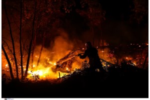 Κοζάνη: Αναζωπυρώθηκε λόγω των ανέμων η φωτιά στα Λιβερά - Τι έχουν να αντιμετωπίσουν οι πυροσβέστες