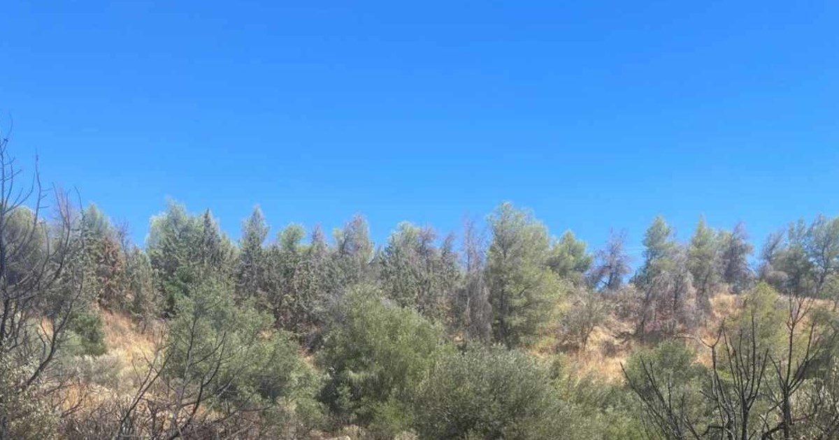 Πυρκαγιά στα Βίλια: Καίει στην περιοχή Άγιος Βασίλειος - Έχουν κινητοποιηθεί 5 εναέρια μέσα