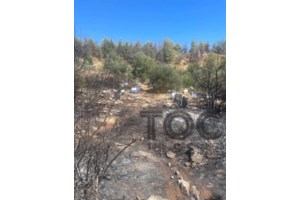 Πυρκαγιά στα Βίλια: Καίει στην περιοχή Άγιος Βασίλειος - Έχουν κινητοποιηθεί 5 εναέρια μέσα