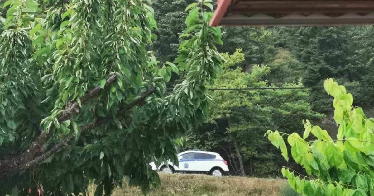 Φονικό στην Ευρυτανία: Ο δράστης πυροβόλησε εξ επαφής τον αδερφό του - Μετά σκότωσε και το άλογο της οικογένειας