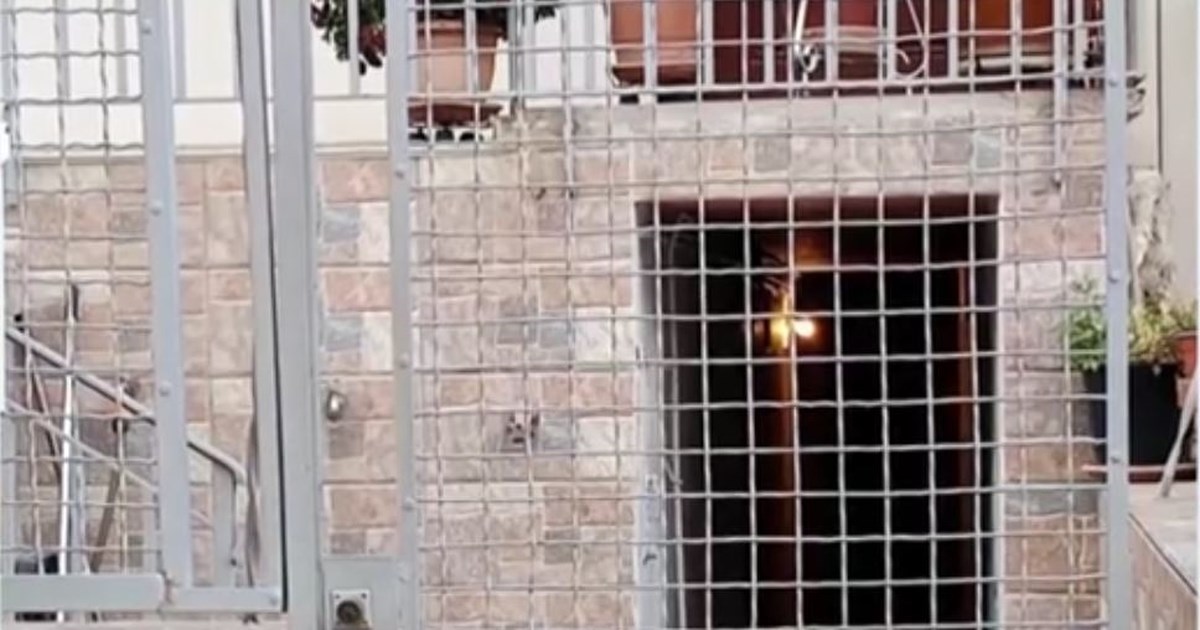 Νέα Χαλκηδόνα: Συνελήφθη ο ντελιβεράς σύντροφος της 48χρονης μητέρας - Βρέθηκε DNA του στα νύχια της - εικόνα 5