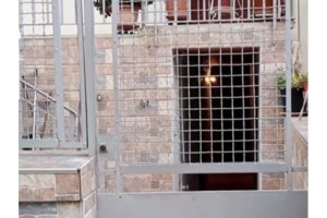 Νέα Χαλκηδόνα: Συνελήφθη ο ντελιβεράς σύντροφος της 48χρονης μητέρας - Βρέθηκε DNA του στα νύχια της - εικόνα 5