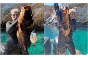 Διαλύεται η ΚΟ της Νέας Αριστεράς: Αποχώρηση για 7 βουλευτές - Φεύγουν 150 στελέχη συνολικά