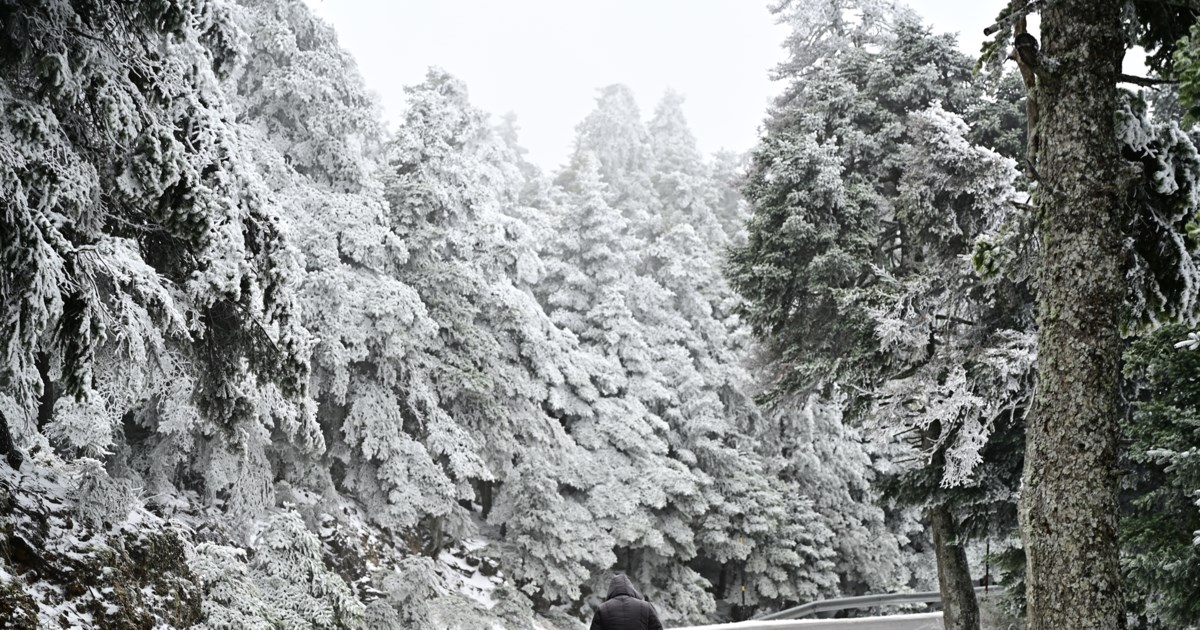Κακοκαιρία Coral: Κύμα ψύχους με θυελλώδεις βοριάδες έως και τη Δευτέρα - Ποιες περιοχές μπαίνουν στην κατάψυξη