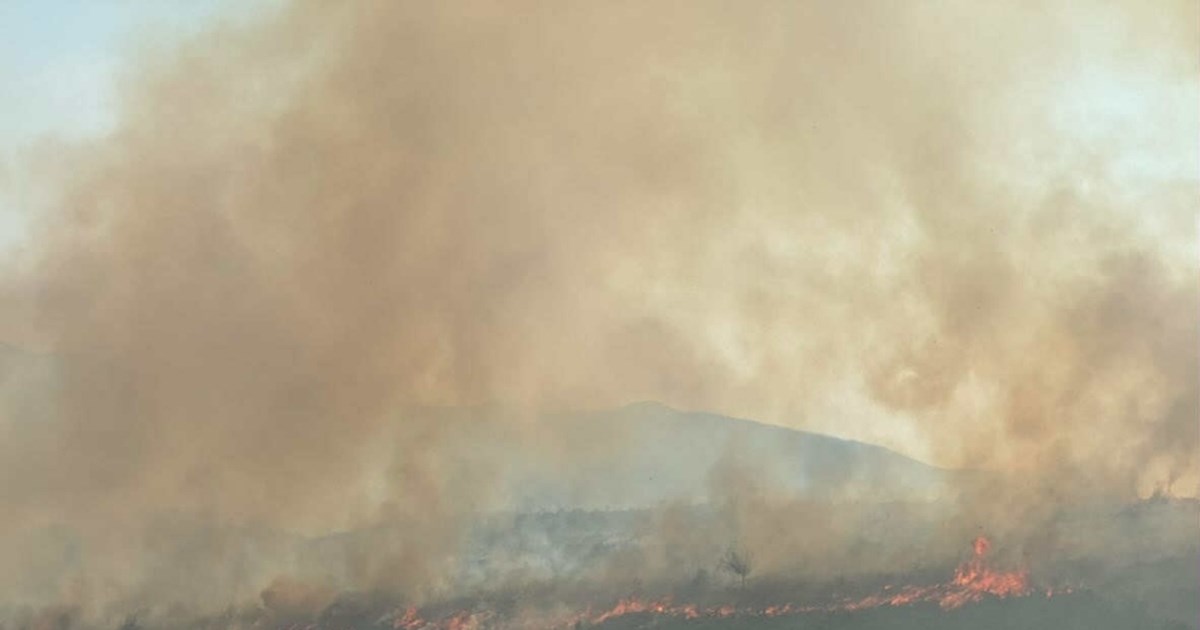 Φωτιά στην περιοχή Τούτουλη στα Μέγαρα - Ισχυρές δυνάμεις στο σημείο