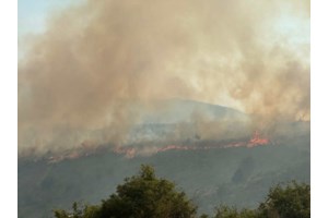 Φωτιά στην περιοχή Τούτουλη στα Μέγαρα - Ισχυρές δυνάμεις στο σημείο
