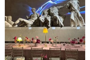 Μενδώνη στη Γενική Συνέλευση της UNESCO: "Ολα τα κράτη-μέλη να στηρίξουν την επανένωση των Γλυπτών του Παρθενώνα" - εικόνα 5