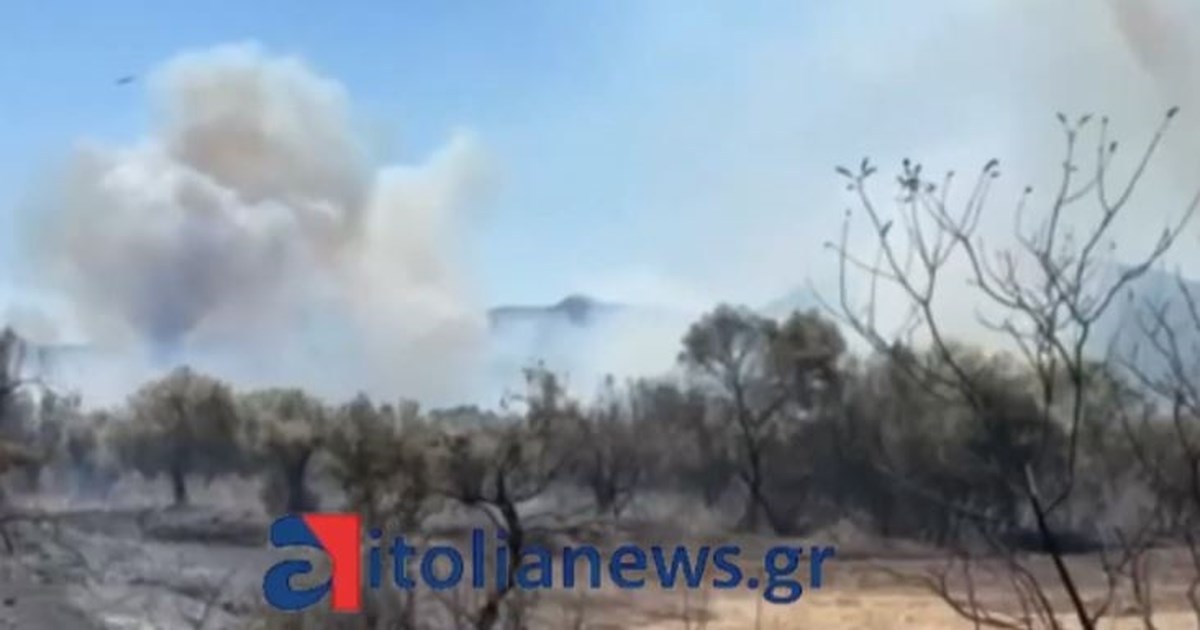 Φωτιά στη Βόνιτσα: Αναζωπυρώθηκε η πυρκαγιά - Επιχειρούν εναέρια [βίντεο]