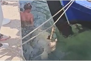 Πλαταμώνας: Αφρικανοί γύριζαν ερωτική ταινία σε παραλία, αστυνομικοί τους πέρασαν για μικροπωλητές και τους συνέλαβαν