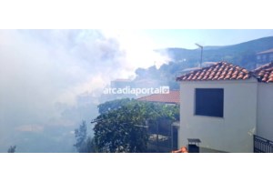 Μαίνεται η φωτιά στη Φυλή: Νέο μήνυμα του 112 - Εκκενώνονται Άνω Λιόσια, Γεννηματά και Κανάλα