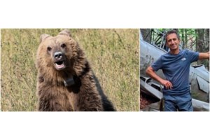Δράμα: Η ιστορία του μυστηριώδους αεροσκάφους από τον Εμφύλιο που πήγαν να δουν οι δύο ορειβάτες και τους όρμησε η αρκούδα - εικόνα 2