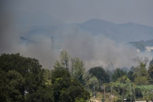 Γρεβενά: Σε εξέλιξη η φωτιά στη Βάλια Κάλντα - Επιχειρούν ισχυρές επίγειες και εναέριες δυνάμεις