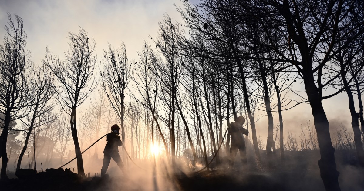 Μητσοτάκης στο υπουργικό συμβούλιο για τις φωτιές: Ευχαριστώ όλα τα στελέχη της πρώτης γραμμής, τα δύσκολα είναι μπροστά μας - εικόνα 3