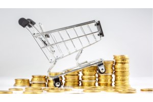 Βαριά "καμπάνα" για όσους δεν καθαρίζουν τα οικόπεδά τους - Πρόστιμα και για απλήρωτους λογαριασμούς ηλεκτρικού