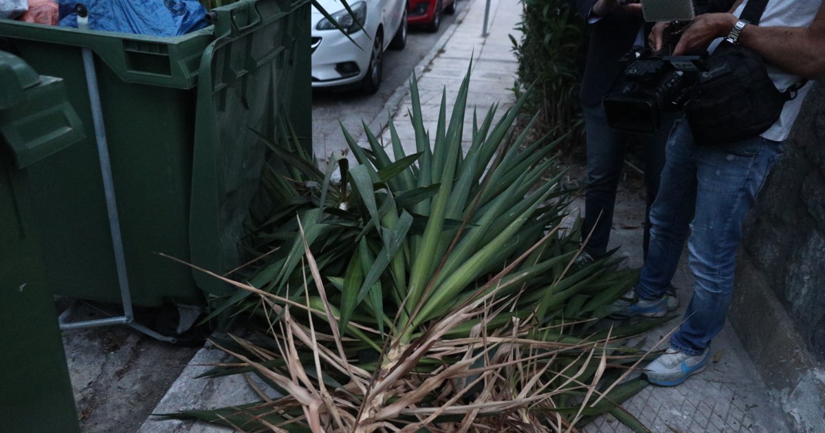 Μητέρα βρέφους στον Άλιμο: Μέχρι η πεθερά μου να πάρει πάνες, ο άντρας άρπαξε το μωρό και εξαφανίστηκε [βίντεο]