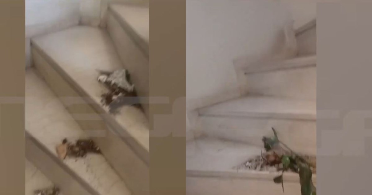 Βύρωνας: Νέα καταγγελία για την ηθοποιό που επιτέθηκε με κατσαβίδι σε γείτονές της - Επιτέθηκε στην οδοντίατρό της