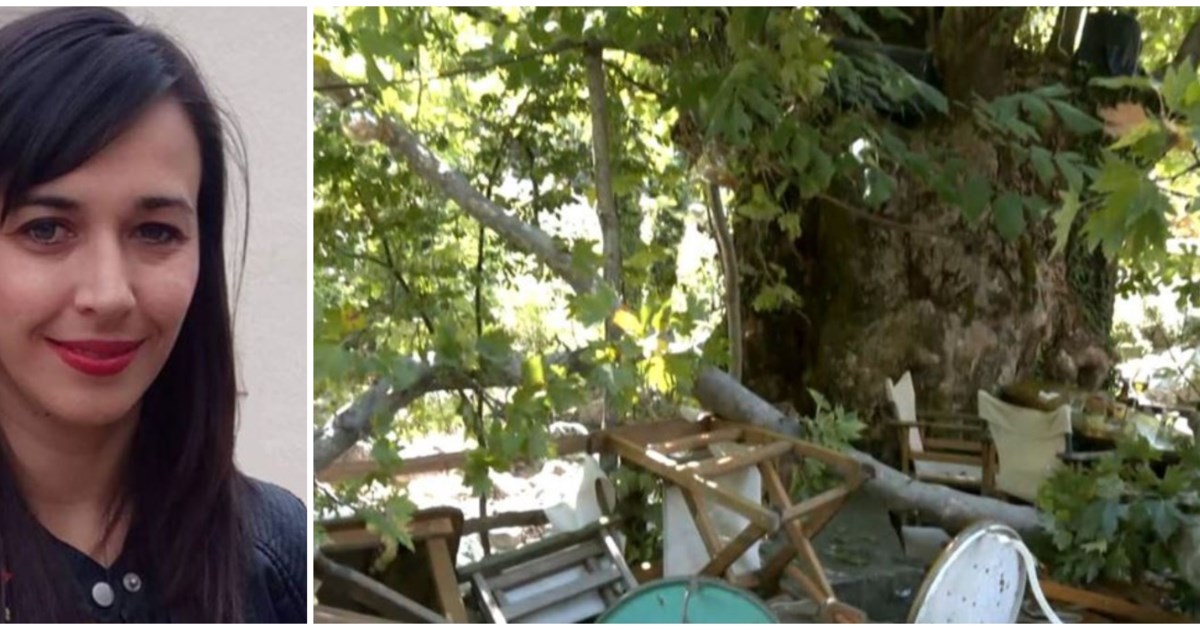 Θεσσαλονίκη: Δέντρο έπεσε πάνω σε άνδρα που καθόταν σε παγκάκι στην πλατεία Ναυαρίνου [εικόνες] - εικόνα 4