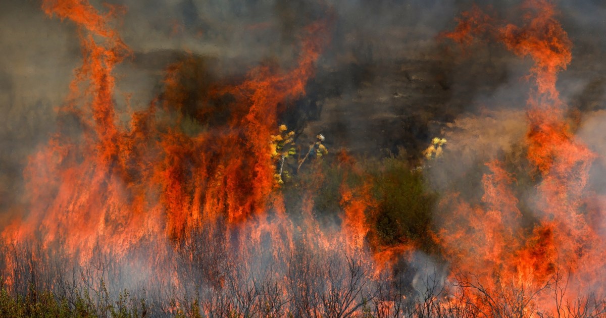 Φωτιές στην Ισπανία: "Κατάσταση που δεν έχουμε βιώσει εδώ και 20 χρόνια" - Πάνω από 3.430.000 καμένα στρέμματα για το 2025 - εικόνα 2