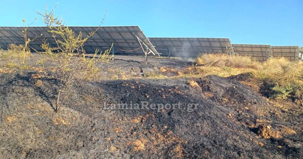 Σύμη: Φωτιά απέναντι από τη Μονή Πανορμίτη - Έσπευσαν εναέρια από τη Ρόδο