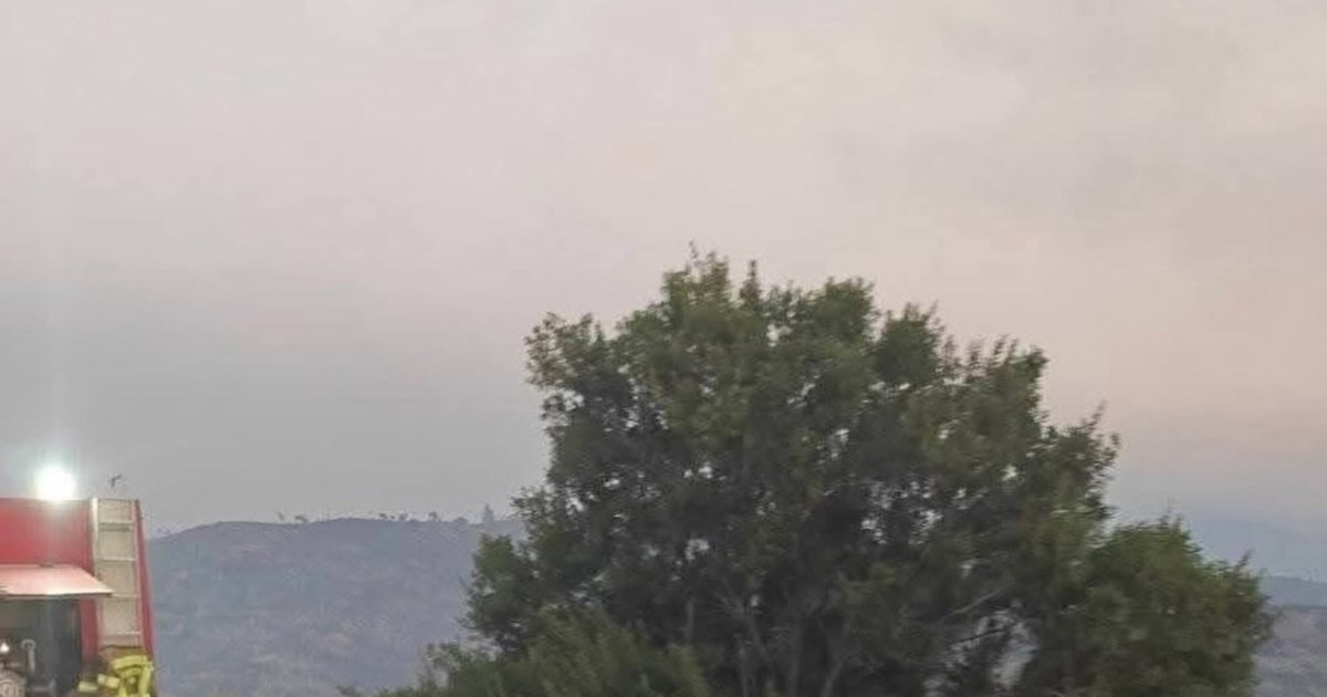 Meteo: Δείτε τους χάρτες από τις εκτάσεις που έχουν επηρεαστεί από τις 6 μεγάλες φωτιές στην Ελλάδα - εικόνα 7