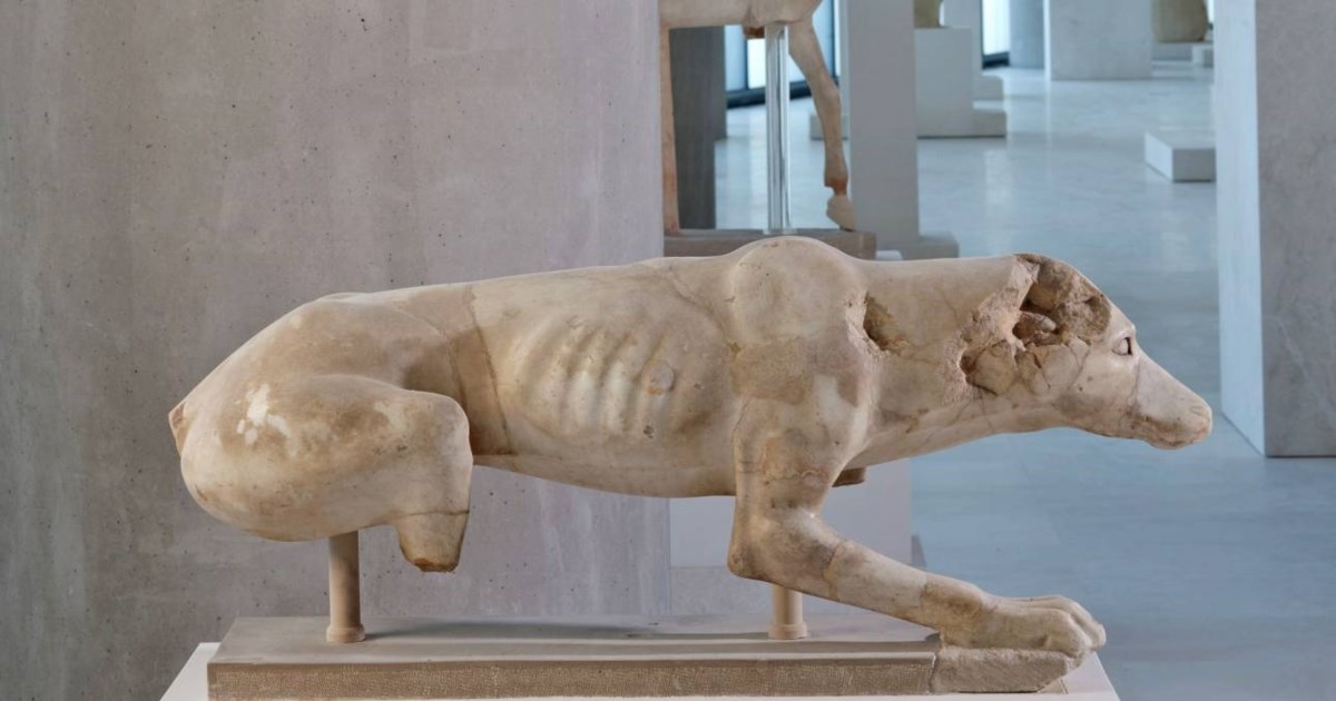 Παγκόσμια Ημέρα Ζώων και στο αυτοκίνητο: Πώς θα είναι πιο ασφαλή - εικόνα 3