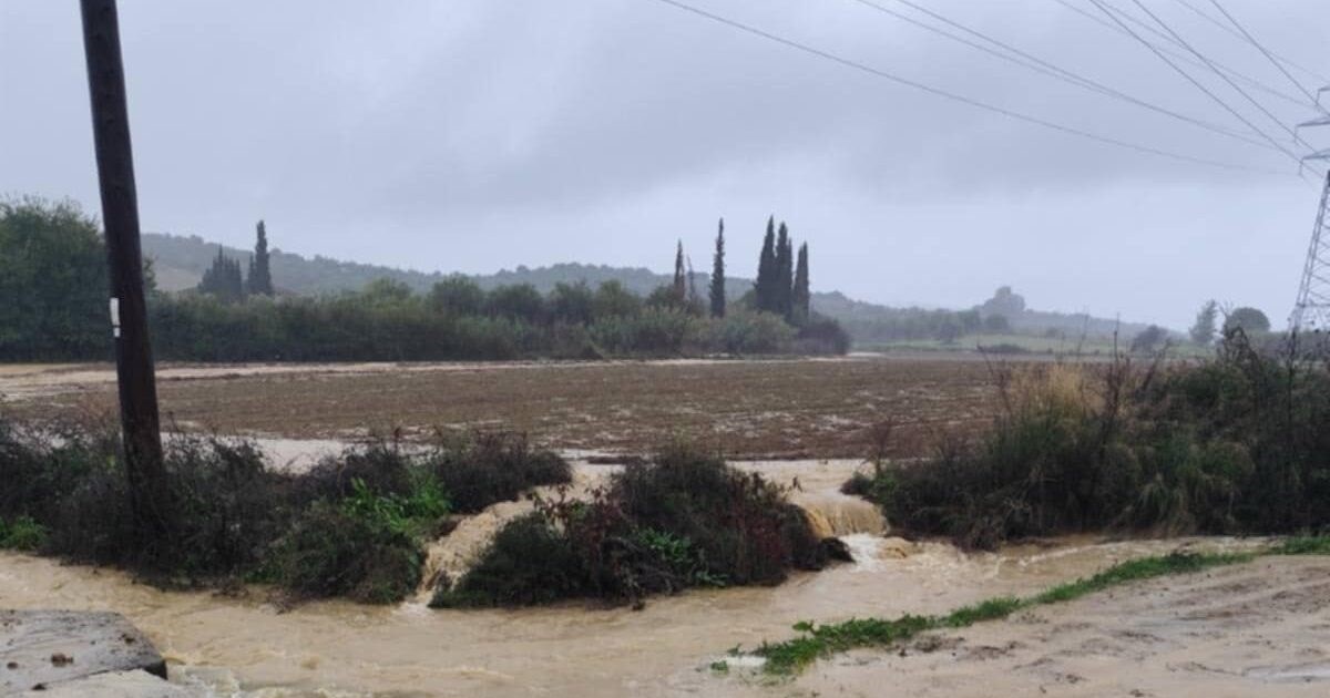 "Ντροπή, χάνονται περιουσίες": Μεγάλες ζημιές στη Λέσβο από τις πλημμύρες - Οργισμένοι οι κάτοικοι - εικόνα 9