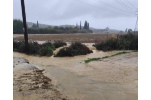 "Ντροπή, χάνονται περιουσίες": Μεγάλες ζημιές στη Λέσβο από τις πλημμύρες - Οργισμένοι οι κάτοικοι - εικόνα 9