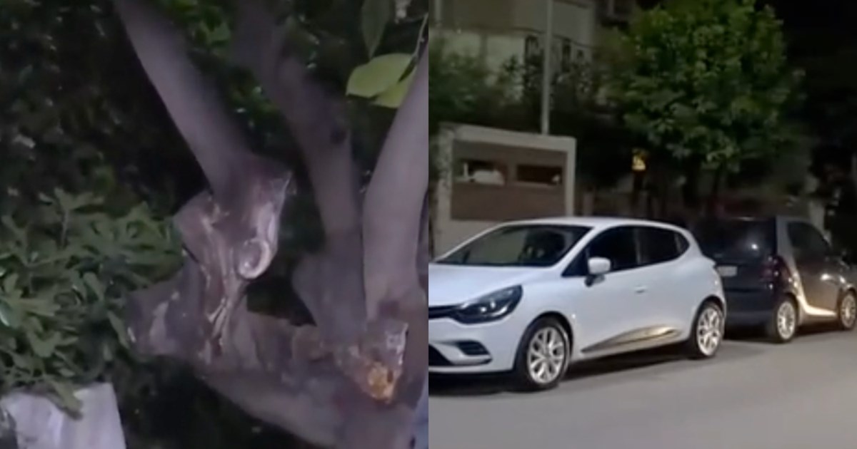 Ελευσίνα: "Πέθανε μέσα σε τρία λεπτά, τη βρήκε κλαδί στον λαιμό" - Η ανατριχιαστική περιγραφή για την 72χρονη