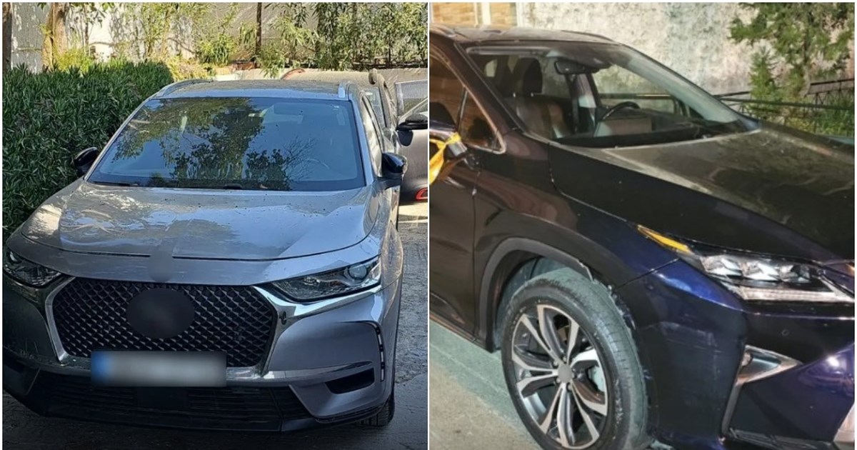 Σπείρα διαρρηκτών είχε ρημάξει σπίτια της Αττικής - Νάρκωναν σκυλιά και παρίσταναν τους κηπουρούς [βίντεο] - εικόνα 3