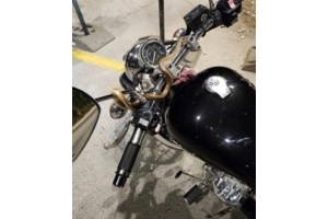 Βόας σφιγκτήρας βρέθηκε κάτω από κάθισμα σε θέατρο στου Φιλοπάππου