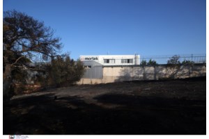 Φωτιά στην Παιανία: Συνελήφθη 62χρονος αλλοδαπός για εμπρησμό από πρόθεση - εικόνα 3