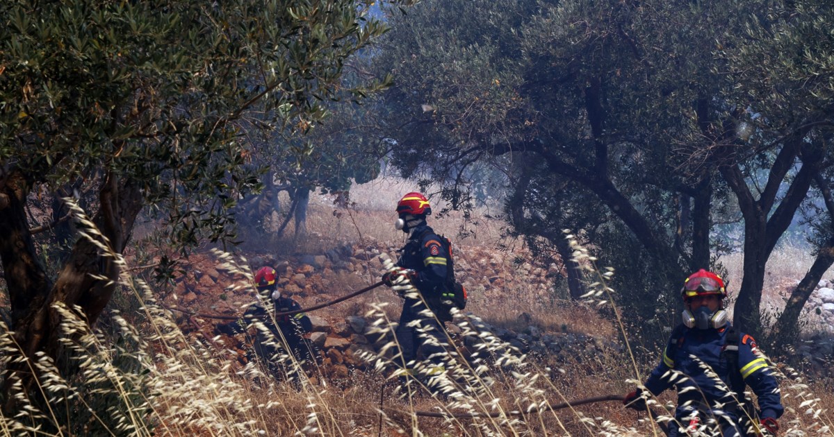 Φωτιά στην Αγιά Λάρισας: Ήχησε το "112" - Σηκώθηκαν έξι εναέρια μέσα - εικόνα 9