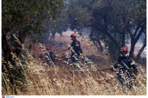 Φωτιά στην Άσσηρο: Βελτιωμένη η εικόνα στο πύρινο μέτωπο - Ενισχύθηκαν οι πυροσβεστικές δυνάμεις