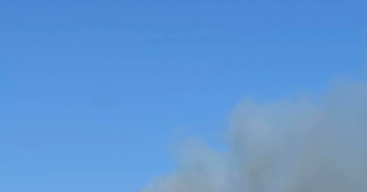 Πυρκαγιά στη Χαλκιδική: Ολονύχτια σκληρή μάχη με τις φλόγες για να σωθεί πευκοδάσος κοντά στη Βουρβουρού [βίντεο]