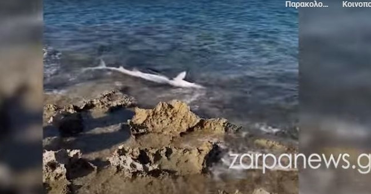 Νοσοκομείο Χανίων: Εκπυρσοκρότησε το όπλο αστυνομικού που φύλαγε βαρυποινίτη κρατούμενο - Σε γυψοσανίδα η σφαίρα