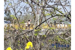 Κιλκίς: Καταδικάστηκε ο 55χρονος κτηνοτρόφος που σκότωσε με καραμπίνα επίδοξο ληστή