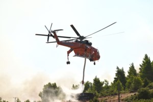 Φωτιά τώρα στην Κρύα Βρύση Ιωαννίνων - Σηκώθηκε ένα ελικόπτερο
