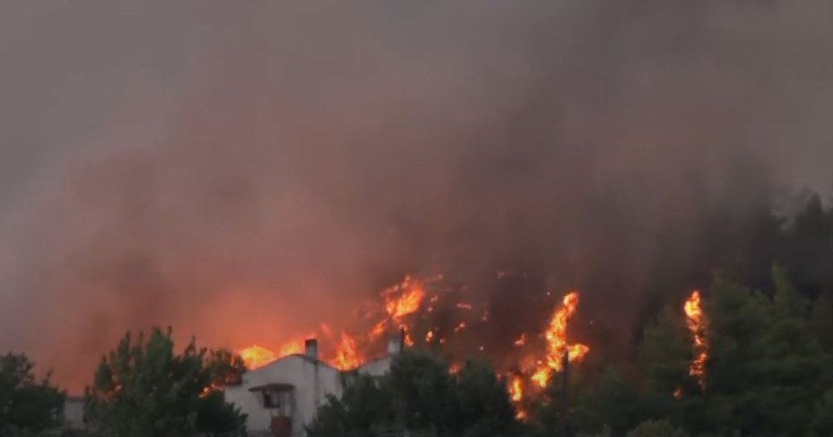Νύχτα-εφιάλτης στον Ωρωπό: Σκληρή μάχη με τις ανεξέλεγκτες φλόγες στις αυλές των σπιτιών στο Ασπροχώρι [εικόνες - βίντεο] - εικόνα 10