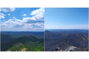 Έβρος: Πύρινη κόλαση με εκκένωση των οικισμών Γιαννούλη και Σιδηρώ - Φυγαδεύτηκε τηλεοπτικό συνεργείο από τις φλόγες - εικόνα 2