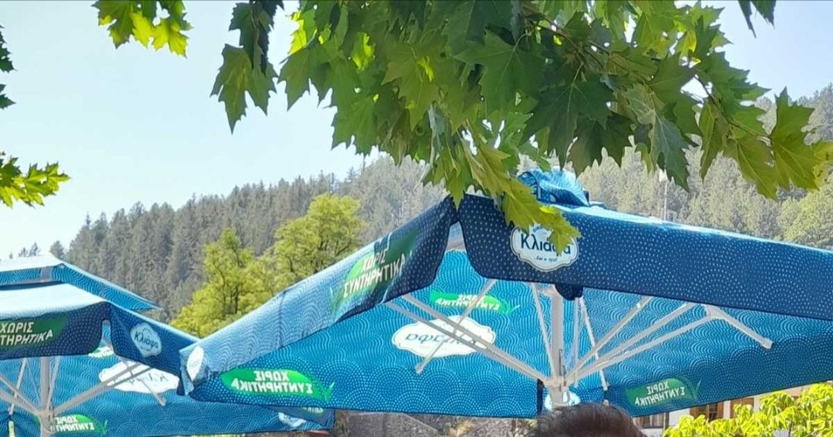 Υπόθεση Βασίλη Καλογήρου: Το πρόβλημα προσανατολισμού και το μυστηριώδες τετράδιο - "Κλειδί" ο ιατρικός φάκελός του